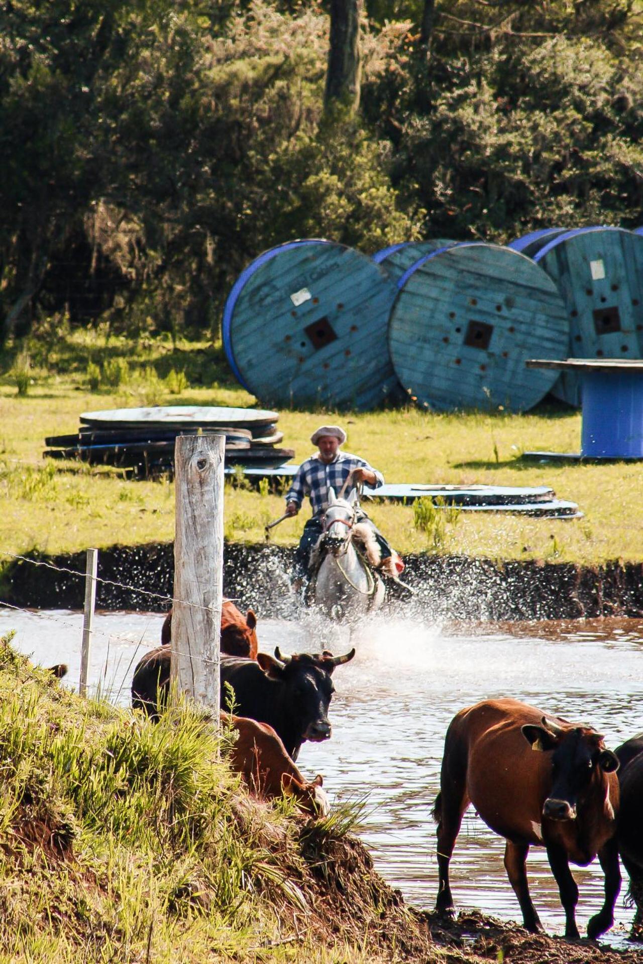Fazenda Invernada Grande Turismo Rural Bom Jardim da Serra Exterior foto