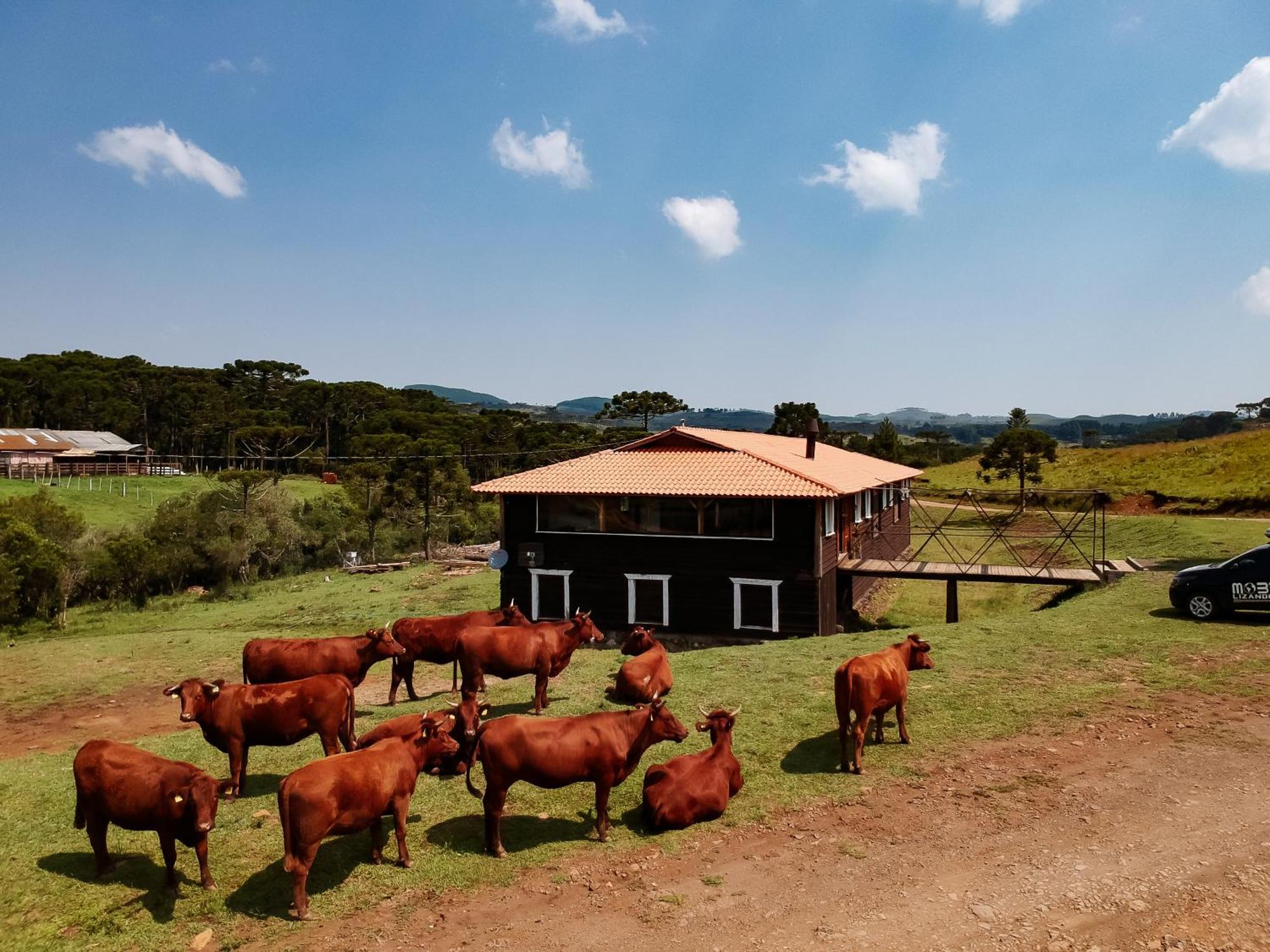 Fazenda Invernada Grande Turismo Rural Hotel Bom Jardim da Serra Exterior foto